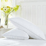 5% Down/95% Feather Pillow Feather Cushion Pillow