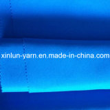 Really Hot Strong Fabric with PU/PVC for Awning