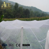 Agricultural Vegetable Plant Anti Insect Mesh Net for Protection