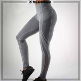 Custom New Arrival Panel Fitness Women Leggings Wholesale Yoga Pants