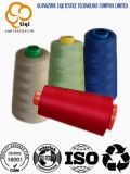 Dyed Colors 100% Polyester Thread 40s/2 for Embroidery Flower Thread