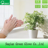 Disposable Exam Clear Powder Free PVC Glove