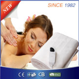Ce GS Certificate and 5 Heat Settings Electric Heating Blanket