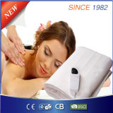 Ce/GS/RoHS/BSCI Approval Automatic Timer Electric Blanket