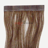 Brazilian Hair Muti Color Tape in Hair Extension (PPG-l-01516)