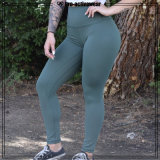 Fitness Fashion Custom Fitness Wear Spandex Womens Cropped Yoga Pants