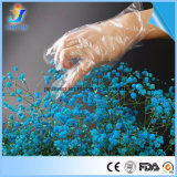 Disposable PE Glove/HDPE Glove/LDPE Glove for Food Grade