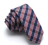 New Design Fashion Checked Polyester Woven Necktie (-01)