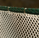 PP or Nylon Knotless Net as Fishing Net