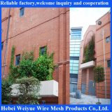 Stainless Steel Rope System for Green Plant