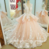 Arabic Flowers Bridal Ball Gowns Pink Lace Wedding Dress Lb20187
