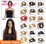 Factory Wholesale 100% Remy Human Virgin Tape in Human Hair Extension