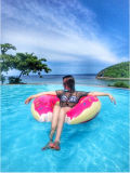 Inflatable Donut Pool Float Swimming Pool Floats, Air Mattress