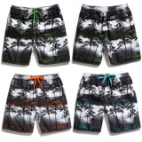 Beach Pants Coconut Tree Printing Water Sports Swim Men's with Mesh Lining and Pocket