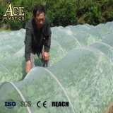 HDPE Plastic Insect Proof Net/Anti UV Greenhouse Cover Anti Aphids Net/Fine Mesh Clear Anti Insect Net