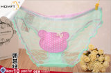 Candy Colours Ventilate Cute Bear Mesh Lace Ladies Transparent Underwear
