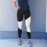 Elegant Hot Sale Yoga Fitness Sport Clothes Pants (3050)