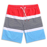 OEM Speedo Swimwear Men Micro Swim Wear Quick Dry Shorts