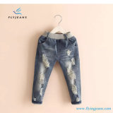 Latest Popular Girls' Ripped Denim Jeans with Elastic by Fly Jeans