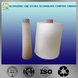 Polyester Sewing Thread for Bag Closing Machine