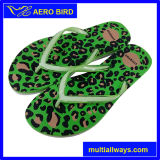 Trendy PE Leopard-Print Footwear for Lady Distributor