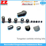 Tungsten Carbide Buttons Bits for Mining and Well