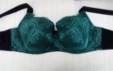 New Arrival Sexy Lace Big Size Bra for Lady (CS9924)
