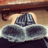 Fashion Sheep Leather Gloves with Rabbit Fur Trim