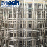 Galvanized Welded Wire Mesh Fabric China Supply