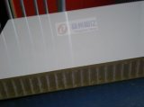 Gelcoat Smooth FRP Coated PP Honeycomb Sandwich Panel