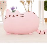 Kawaii New Pusheen Cat Peluche Pillow Kids Toys Big Cushion