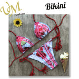 Whole Sale Sexy Underwear Fashion Swimwear Bikini Clothing Factory Price