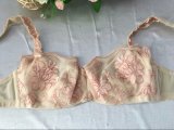 New Design Bra and Brief Lady Underwear with Lace
