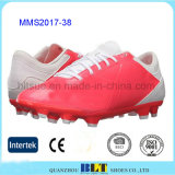 TPU Cleat Plate Lightly Padded Collar Sports Shoes