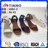 Fashion Shoes Women's Summer Trendy Flat Sandals (TNK50040)