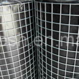 Hot Sale 20X20 Hot Dipped Galvanized Welded Netting After Welding