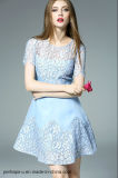 New Collection Ladies Chiffon A-Line Dress with Lace Cover