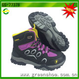 Factory Supply High Quality Kids Sport Children Hiking Outdoor Shoes