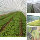 100% Virgin HDPE Transparent Greenhouse Insect Net for Vegetables