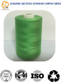 Various Colour Fabric Use Textile Thread 100% Polyester Embroidery Thread