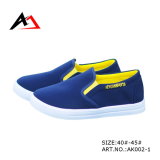 Canvas Casual Shoes Flat Leisure Fashion Wholesale Foowear (AK002-1)