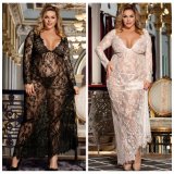 Plus Size Low MOQ Two Color Lace Hot Ladies Sexy Nightwear