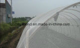 Garden and Greenhouse Use UV Treated HDPE Anti Insect Net