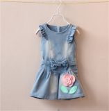 Girl's Hottest Denim Applique Dress with Bow