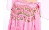 Indian Belly Dance Hip Scarf Coins Belt Skirt Sash