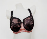 New Arrival Sexy Lace Big Size Bra Set for Lady (CS9929)