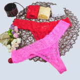 Hot Sale Lace Nylon Ladies Women Sexy G String Panties