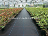 Anti-Aging PE/PP Weed Barrier Landscape Fabric