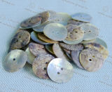 Vintage Customized River Shell Button Agoya Shell Button