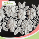Free Sample Available Cheap African Cotton Dry Lace